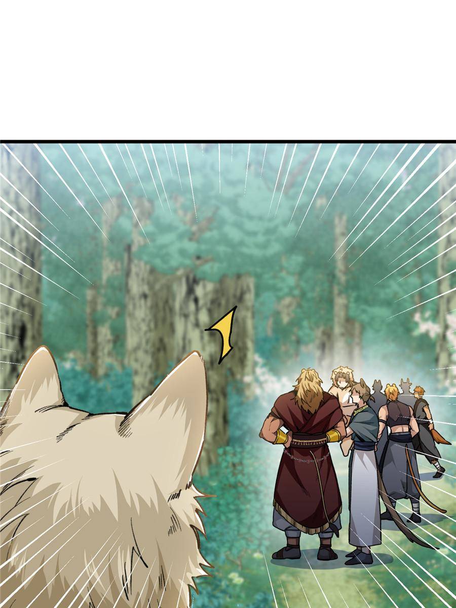 76599954 900 1200 113811